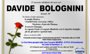 ANN Davide Bolognini