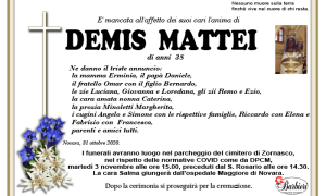 ANN Mattei Demis