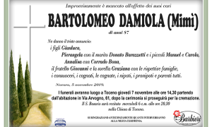 Ann Bartolomeo Damiola
