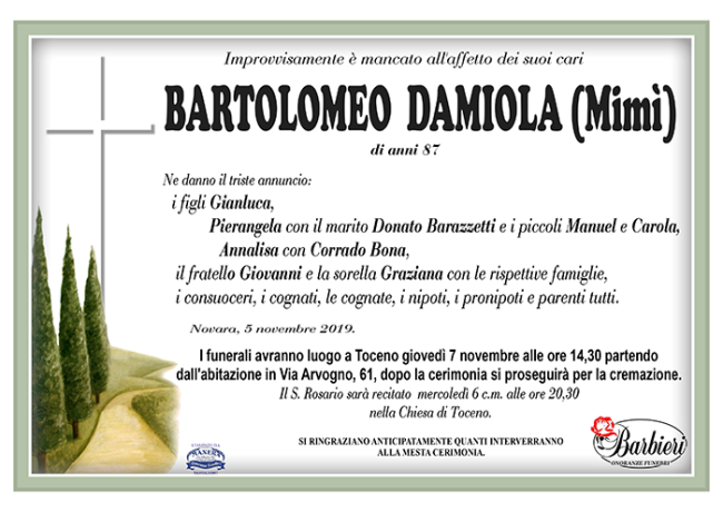 Ann Bartolomeo Damiola