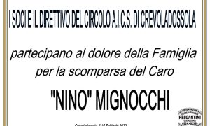 CIRCOLO CASTIGLIONE Copia mignocchi