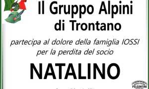IOSSI ALPINI TRONTANO