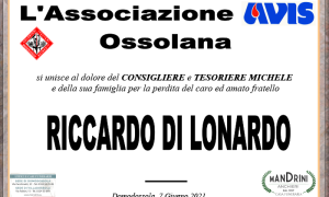 PARTECIPAZIONI AVIS per DI LONARDO