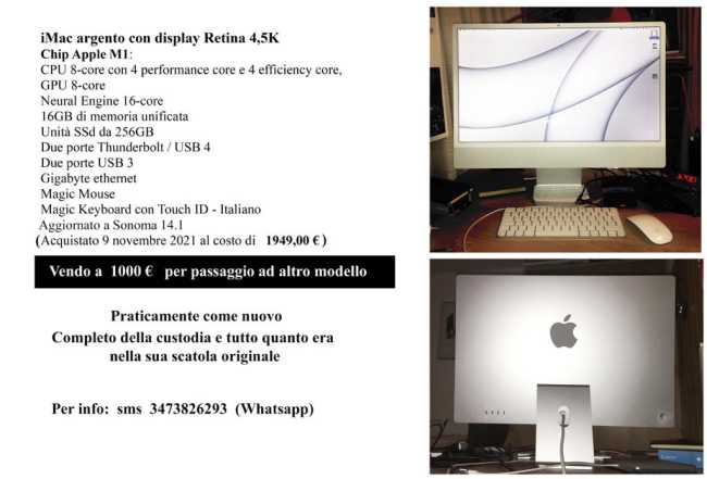 PHOTO 2023 11 06 19 07 17