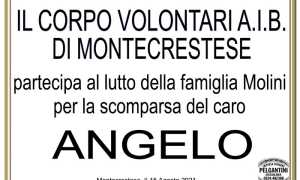 Partecipazione Volontari A.I.B. Montecrstese per Angelo Molini