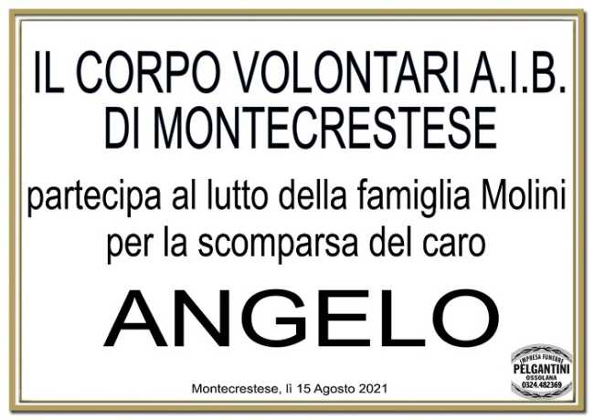 Partecipazione Volontari A.I.B. Montecrstese per Angelo Molini