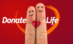 Schermata 2019 07 29 alle 10.53.42