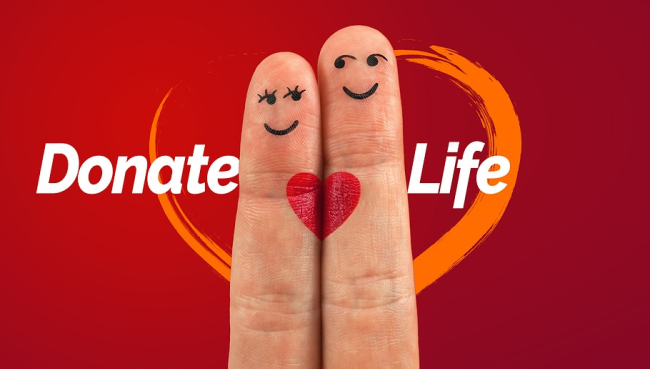 Schermata 2019 07 29 alle 10.53.42