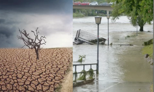 Schermata 2020 02 25 alle 11.10.39