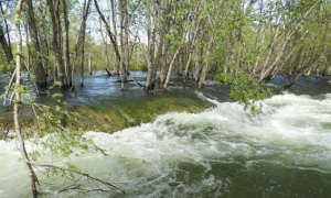 Schermata 2020 10 07 alle 17.50.53