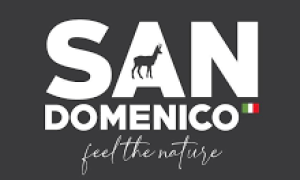 Schermata 2021 04 02 alle 14.20.16