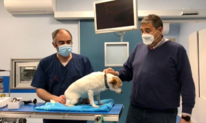 Schermata 2021 05 09 alle 10.36.35