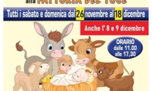 Schermata 2022 11 30 alle 12.07.37