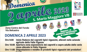 Schermata 2023 03 20 alle 09.17.43