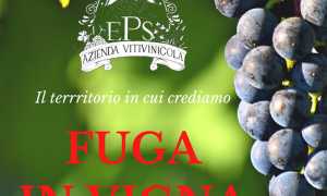 WhatsApp Image 2020 06 03 at 00.50.16