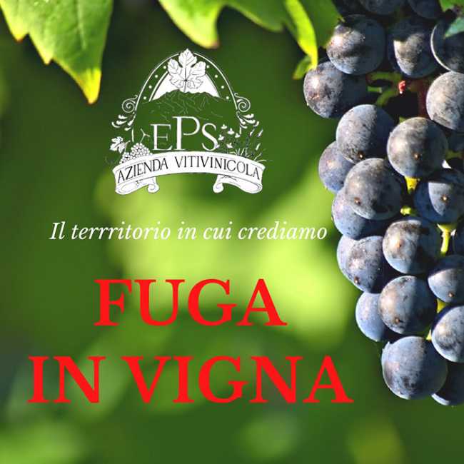 WhatsApp Image 2020 06 03 at 00.50.16