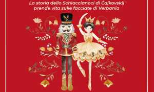 WhatsApp Image 2025 11 15 at 15.47.52 3