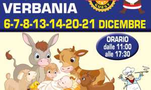 WhatsApp Image 2025 11 15 at 15.47.52 4