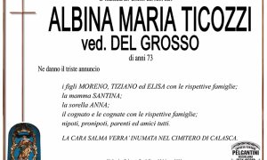 albina MODIFICATO TICOZZI