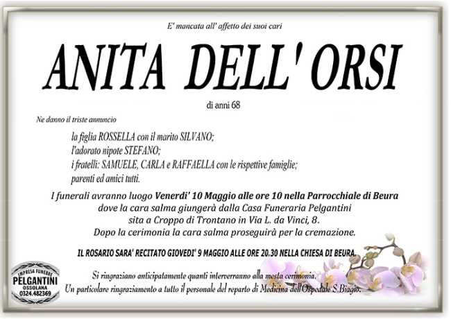 anita dell orsi