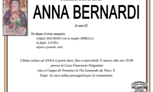 anna bernardi