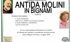 antida molini