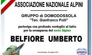 belfiore ANN PART ALPINI