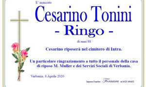 cesarino tonini ringo