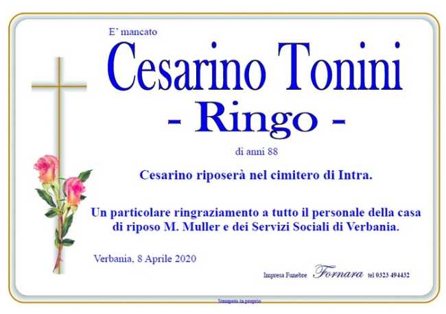 cesarino tonini ringo