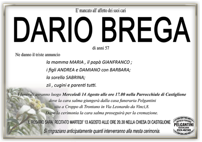 dario BREGA