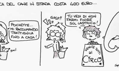 deiezioni