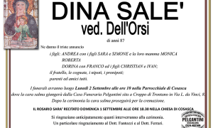 dina SALE ved dellorsi