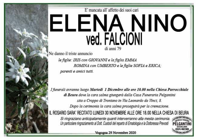 elena nino falcioni