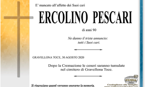 ercolino PESCARI