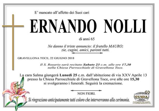 ernando nolli