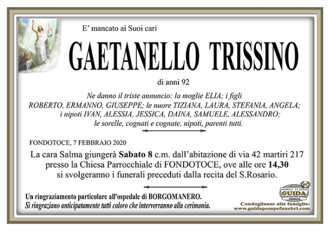 gaetano trissino