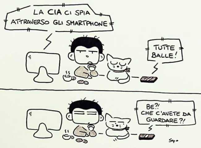 la vignetta di sapo IMG 0432