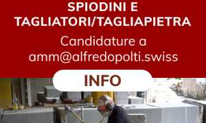 lavoro cercasi spiodatore polti Max Quality