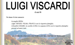 luigi VISCARDI1