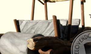 macchina dei flinstones