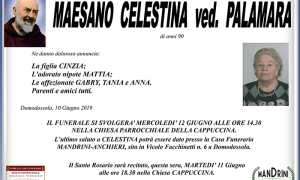 maesano celestina ved palamara