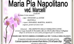 marcella NAPOLITANO