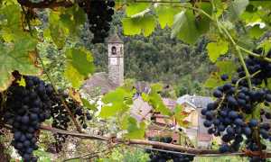 medali ossola rurale 1