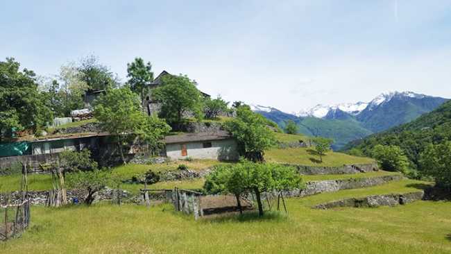 monteossolano fabbri