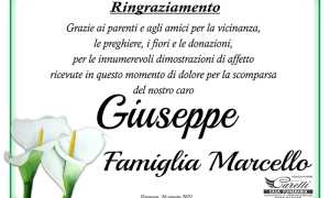 ok Ringr Giuseppe Marcello