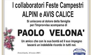 partecipazione FESTE CAMPESTRI ALPINI AVIS