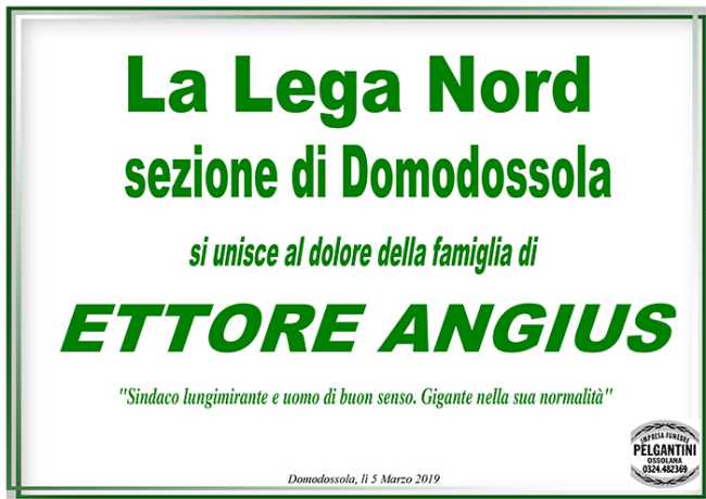 partecipazione angius