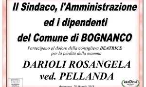 partecipazione darioli pellanda