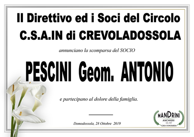 partecipazioni soci csain pescinipsd