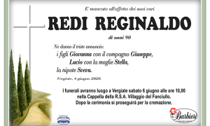 redi reginaldo